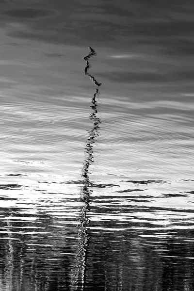 艺术化的黑白反光摄影 反映在港口水域的渔具 船桅上 — 图库照片