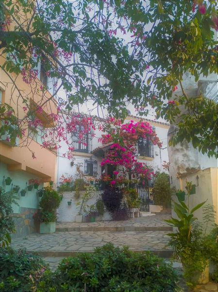 Fotografi Typisk Gata Estepona Malaga Spanien Vita Byarna Andalusien — Stockfoto