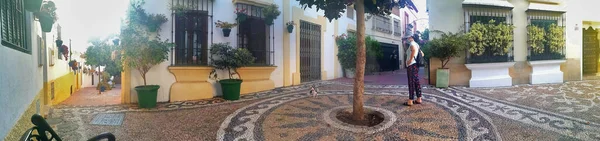 Endülüs Beyaz Köylerinden Biri Olan Estepona Malaga Spanya Tipik Bir — Stok fotoğraf