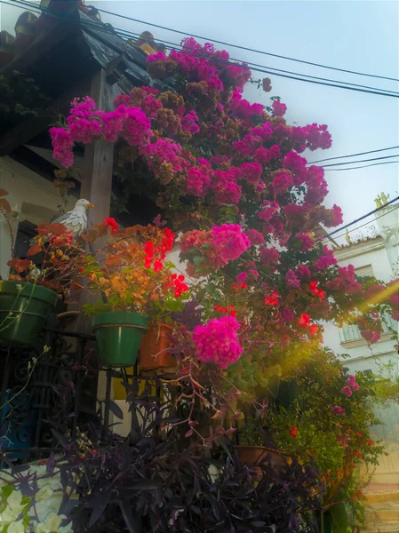 Fotografía Una Calle Típica Estepona Málaga España Uno Los Pueblos — Foto de Stock