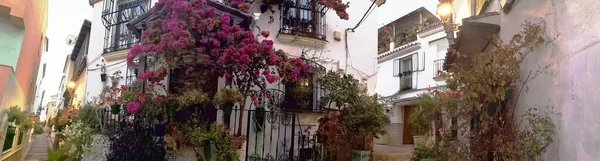 Foto Van Een Typische Straat Estepona Malaga Spanje Een Van — Stockfoto