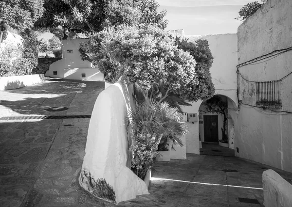 Svartvitt Fotografi Typisk Gata Den Andalusiska Staden Casares Typisk Vit — Stockfoto