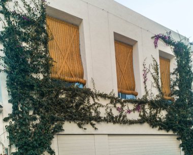 Esparto 'nun fotoğrafı Endülüs, İspanya' nın beyaz köylerinin tipik gölgelerini kör eder.