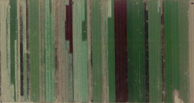  ABD, ABD 'de havadan gelen yardım çizimlerinin soyut fotoğrafçılığı: Soyut doğalcılık, mecazdan mecazî resme, 