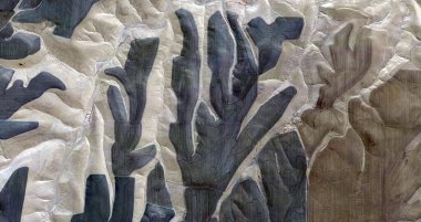  ABD, ABD 'de havadan gelen yardım çizimlerinin soyut fotoğrafçılığı: Soyut doğalcılık, mecazdan mecazî resme,  