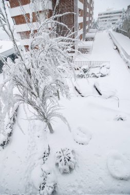 Kentleşen karlı bir bahçenin fotoğrafı.,