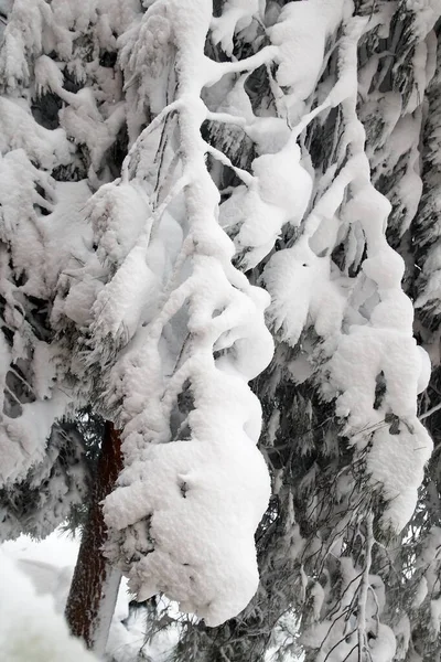 Implacable Mot Qui Exprime Dureté Une Grande Chute Neige Sur — Photo