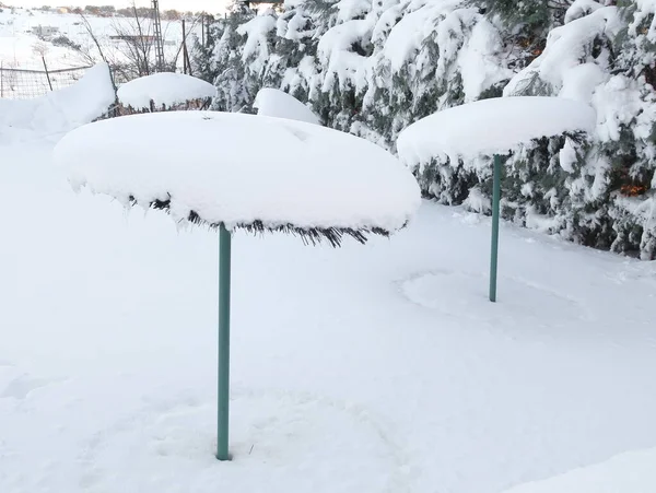 Piscine Hiver Apparition Une Prairie Avec Parasols Dans Une Piscine — Photo