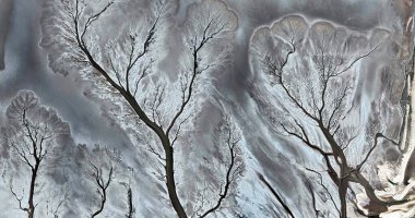   ABD, ABD 'de havadan gelen yardım çizimlerinin soyut fotoğrafçılığı: Soyut doğalcılık, mecazdan mecazî resme, 