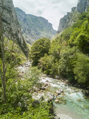 Puente Poncebos, Picos de Europa, Asturias, İspanya 'daki Cares Nehri,