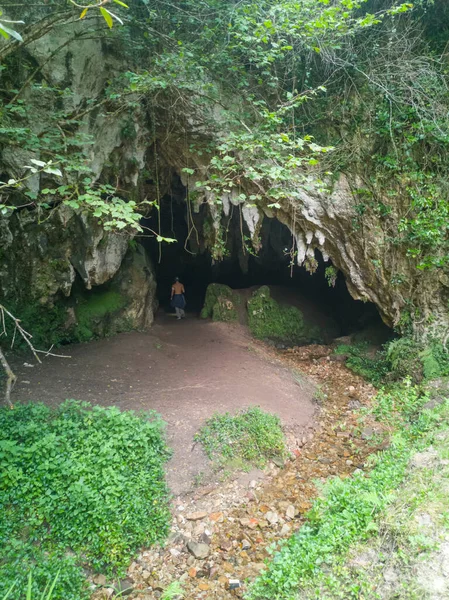 Grotta Delle Radici Buelna Llanes Asturie Spagna — Foto Stock