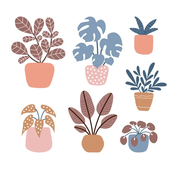 Ensemble Plantes Intérieur Vectorielles Collection Plantes Intérieur Pots Illustration Vectorielle — Image vectorielle