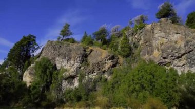 Yüksek bitki örtüsü ve çam ağaçları olan dağ yamacı