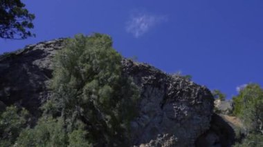 Yüksek bitki örtüsü ve çam ağaçları olan dağ yamacı