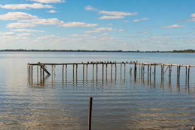 Gün batımında sessiz bir göl. Arjantin 'de, kuşların gövdeleri arasında dinlendiği terk edilmiş küçük bir rıhtım.
