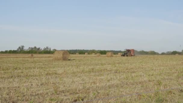 Extenso Prado Durante Cosecha Una Colina Argentina Mientras Que Otoño — Vídeos de Stock