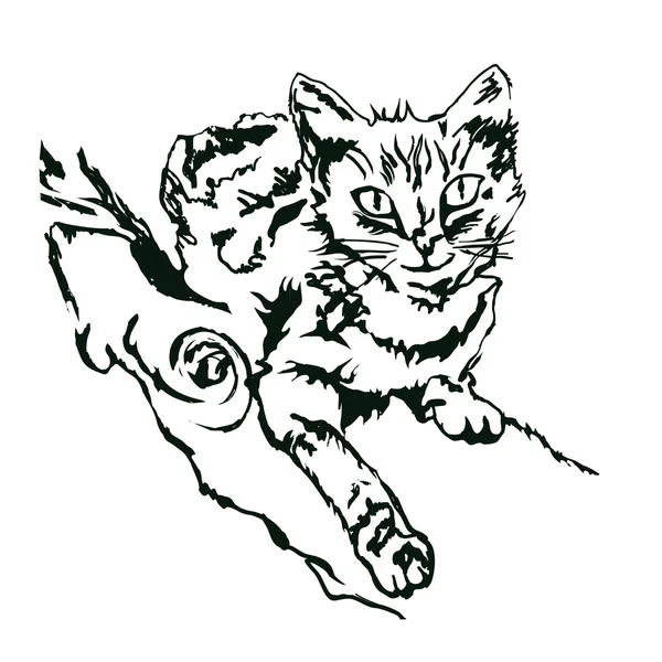 Gato dibujado a mano acostado en un árbol, imagen monocromática. ilustración vectorial — Vector de stock