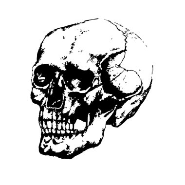 Siyah beyaz görüntü el ile boyalı kafatasının.