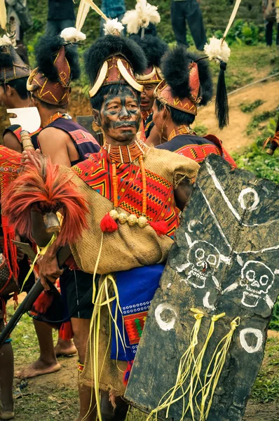 Costume con scudo — Foto Stock