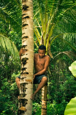 Endonezya'da dağcı