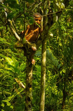 çocuk on ağacının