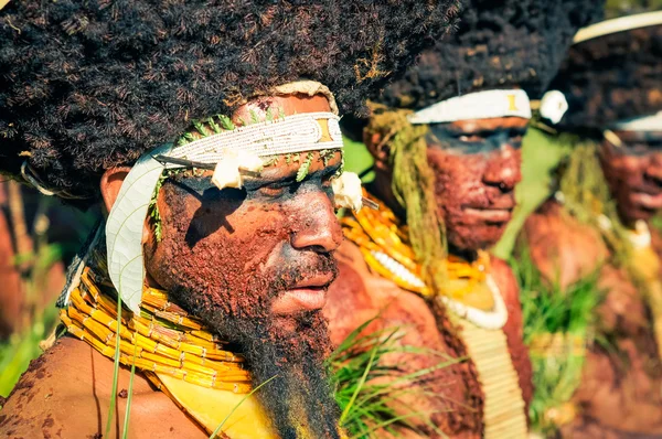 Человек с бородой в Папуа - Новой Гвинее — стоковое фото
