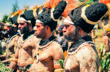 Papua Yeni Gine'de konsantrasyon