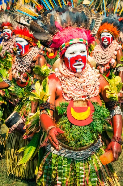 Bellezza nei colori in Papua Nuova Guinea — Foto Stock