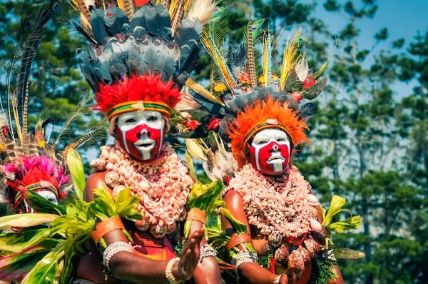 Жизнь в Папуа - Новой Гвинее — стоковое фото