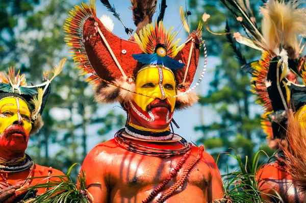 Interprete in Papua Nuova Guinea — Foto Stock