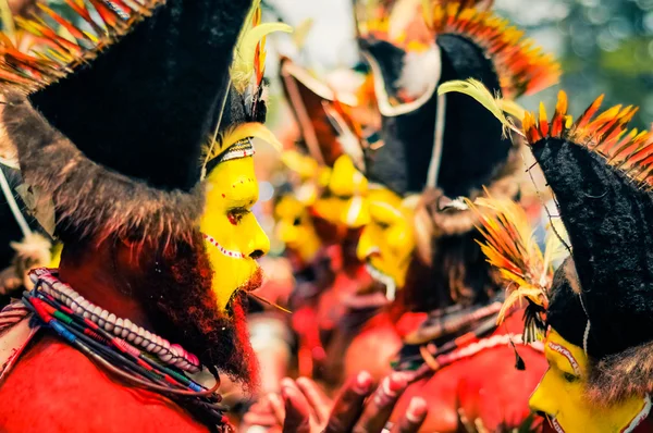Ритмы Папуа - Новой Гвинеи — стоковое фото