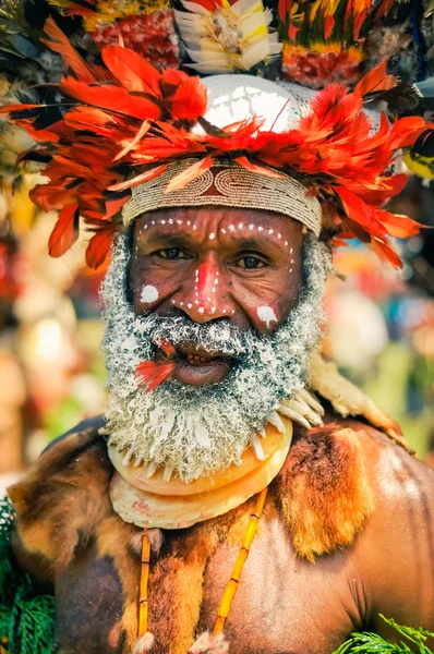 Очарование Папуа - Новой Гвинеи — стоковое фото