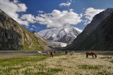 Tian shan Kırgızistan