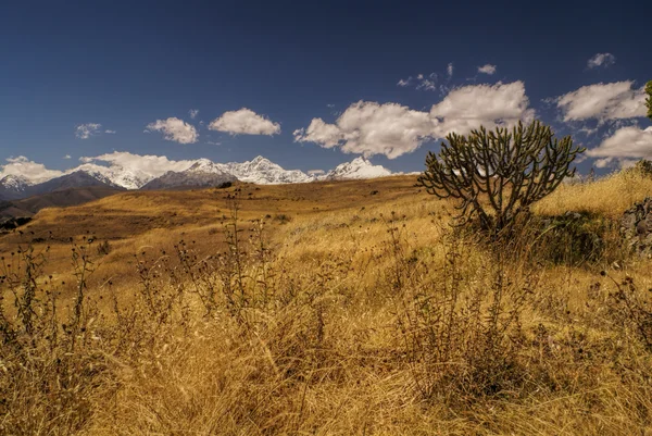 Cordillera Negra in Peru — Stockfoto