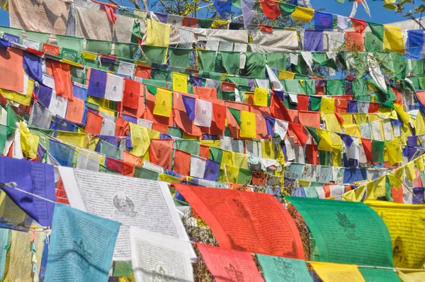 Banderas de oración budistas en Dharamshala, India — Foto de Stock