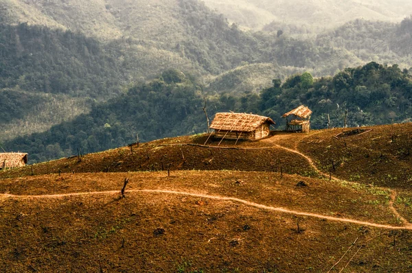 Yerleşim Nagaland, Hindistan