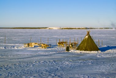 Reindeers, Finlandiya
