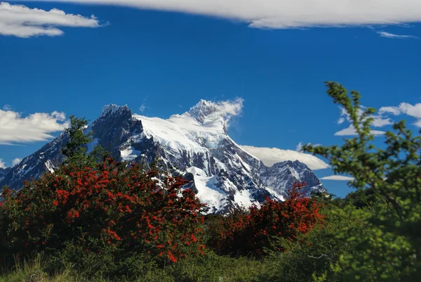 Torres del Paine — Stockfoto