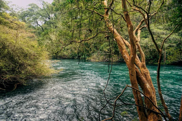 Parco Nazionale Vicente Perez Rosales — Foto Stock