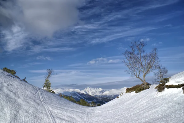 Volda — Stockfoto