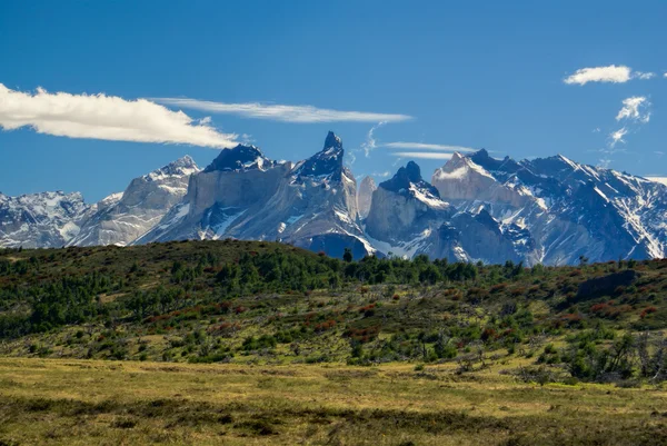 Torres del paine — Foto de Stock