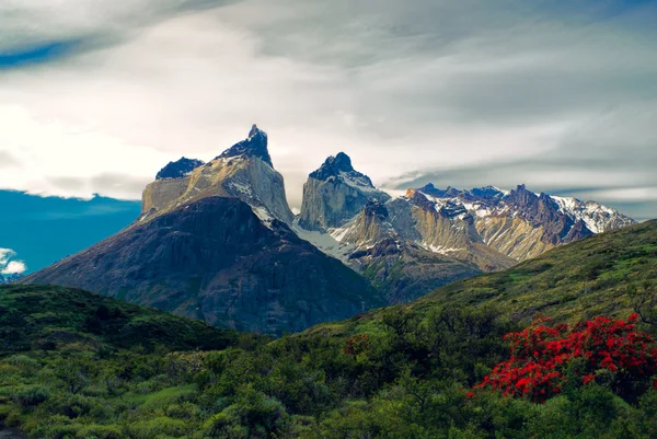 Torres del paine — Stock fotografie