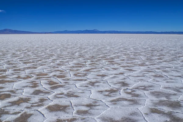 Salinas grandes — Stockfoto