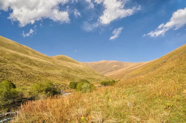 Трав'яна земля в Киргизії — стокове фото