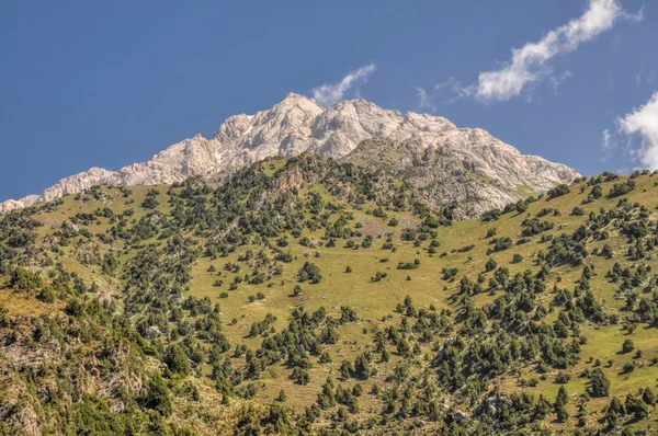 Kyrgyzstan — Stock Photo, Image