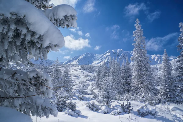 Inverno idilliaco — Foto Stock