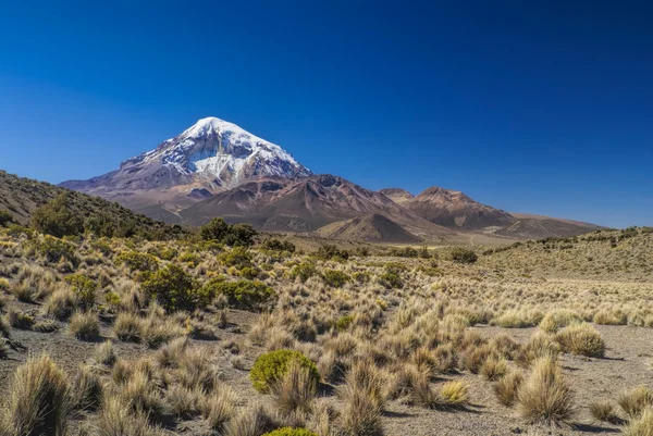 Nevado Sajama — Foto de Stock