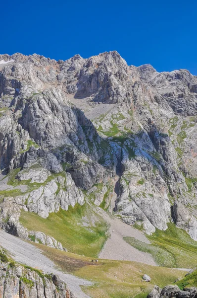 Tien-Shan en Kirguistán — Foto de Stock