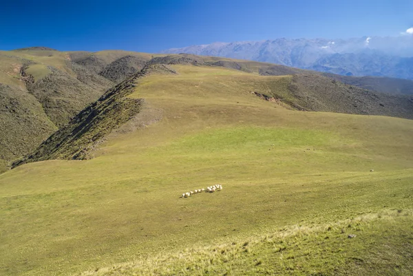 Panorama em Capilla del Monte — Fotografia de Stock