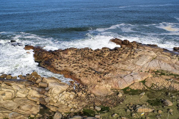 Cabo Polonio — Foto de Stock